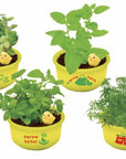 日本進口‧隨機扭蛋小盆栽系列 -四種藥草