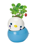 COROCORO bird 滾滾小鳥虎皮鸚鵡系列