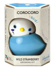 COROCORO bird 滾滾小鳥虎皮鸚鵡系列