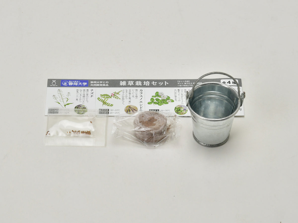 日本進口‧隨機扭蛋小盆栽系列 - 芳草
