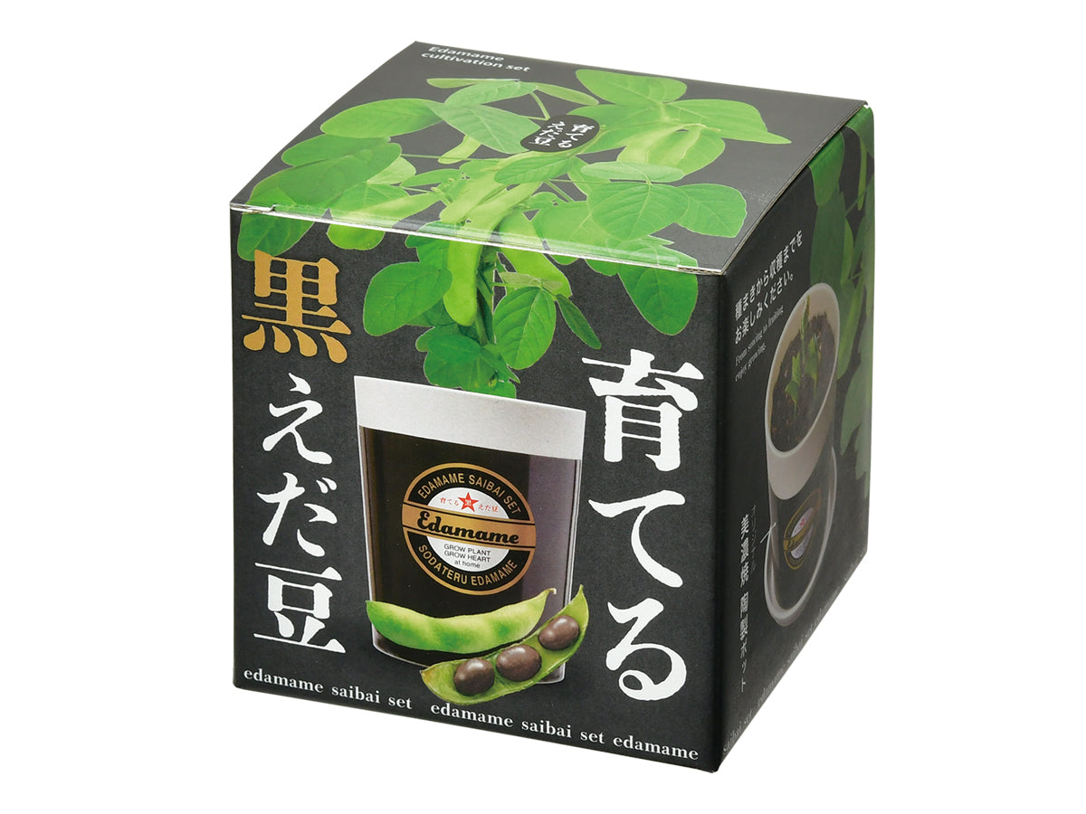 枝豆/黑枝豆栽培套裝 Edamame GD-979