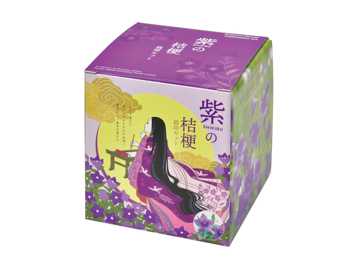 源氏物語:桔梗盆栽(風鈴草)