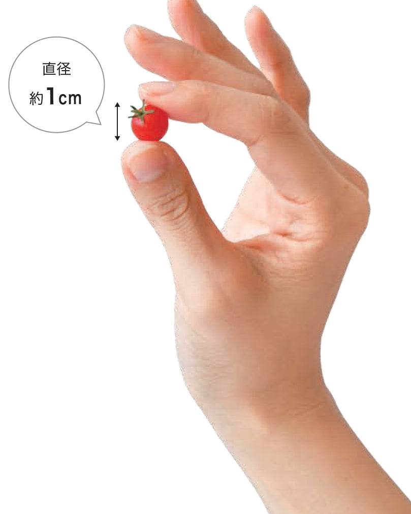 迷你番茄栽培套裝 MICRO TOMATO GD-903