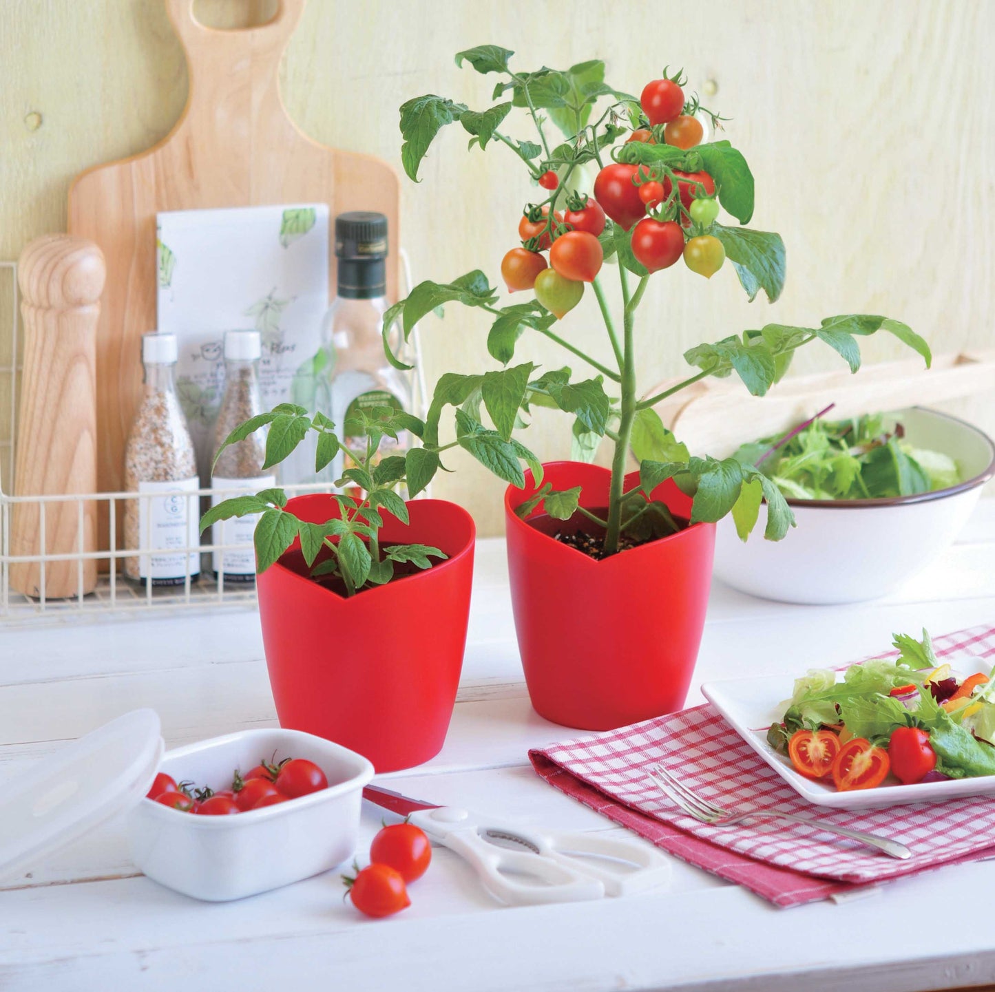 心型蕃茄盆栽 Heartomato Set GD-546