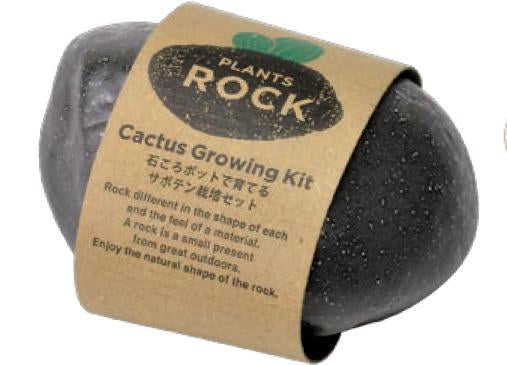 植物岩仙人掌 Plants Rock Cactus - Black GD-807