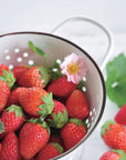 士多啤梨盒子 Strawberry Bloom pink flowers GD-796