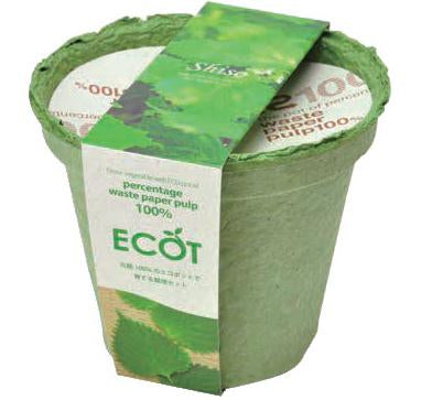 再生紙小花盆 ECOT - 胡蘿蔔/紫蘇葉 GD-411
