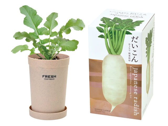室內大根野菜盆栽 GD-891