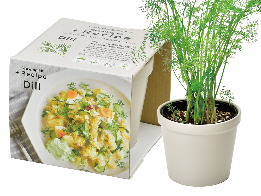 日本進口‧自家種植‧園藝‧家‧裝飾‧+ Recipe 盆栽