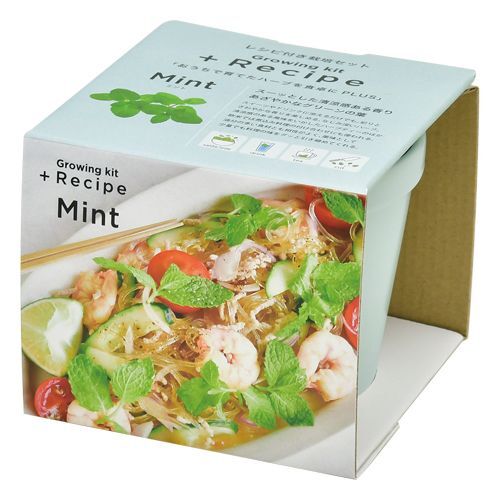 日本進口‧自家種植‧園藝‧家‧裝飾‧+ Recipe 盆栽