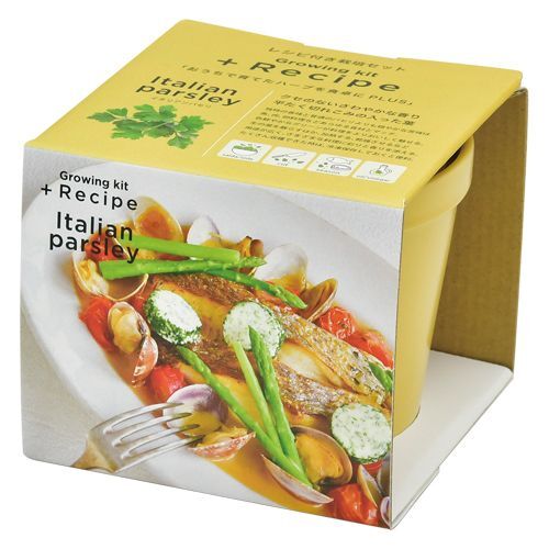 日本進口‧自家種植‧園藝‧家‧裝飾‧+ Recipe 盆栽