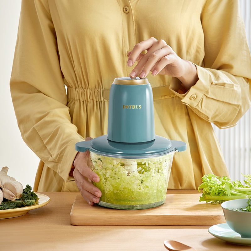 多功能攪拌家用小型絞肉機PE1320