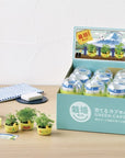 green-capsule-4-style