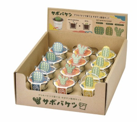 Sabo 桶栽培套件-仙人掌