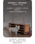 特長水槽便攜式狗狗飲水水樽