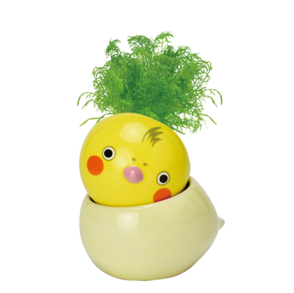 COROCORO bird 滾滾小鳥虎皮鸚鵡系列