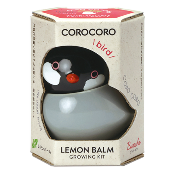 COROCORO bird 滾滾小鳥虎皮鸚鵡系列