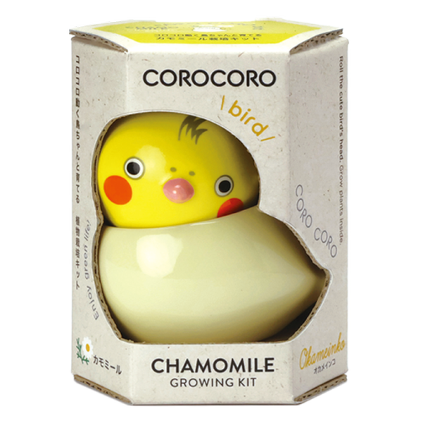 COROCORO bird 滾滾小鳥虎皮鸚鵡系列