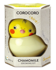 COROCORO bird 滾滾小鳥虎皮鸚鵡系列
