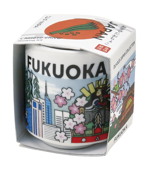 Seishin - 日本吉祥小盅栽培組 (JAPAN 系列)