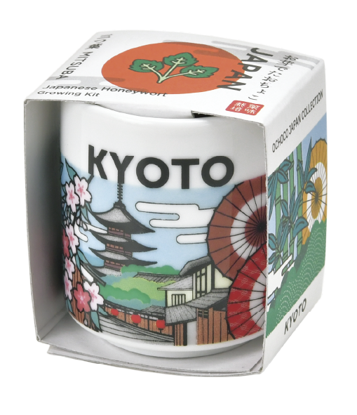 Seishin - 日本吉祥小盅栽培組 (JAPAN 系列)