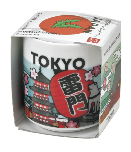 Seishin - 日本吉祥小盅栽培組 (JAPAN 系列)