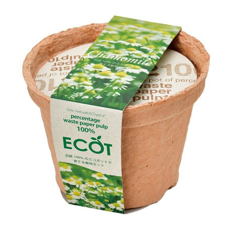 再生紙小花盆 ECOT small - 薰衣草/草莓/洋甘菊 GD-410