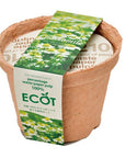 再生紙小花盆 ECOT small - 薰衣草/草莓/洋甘菊 GD-410