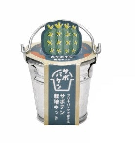 SeiShin Sabo 桶栽培套件-仙人掌