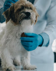 PET BALANS 貓狗非接觸式體溫計
