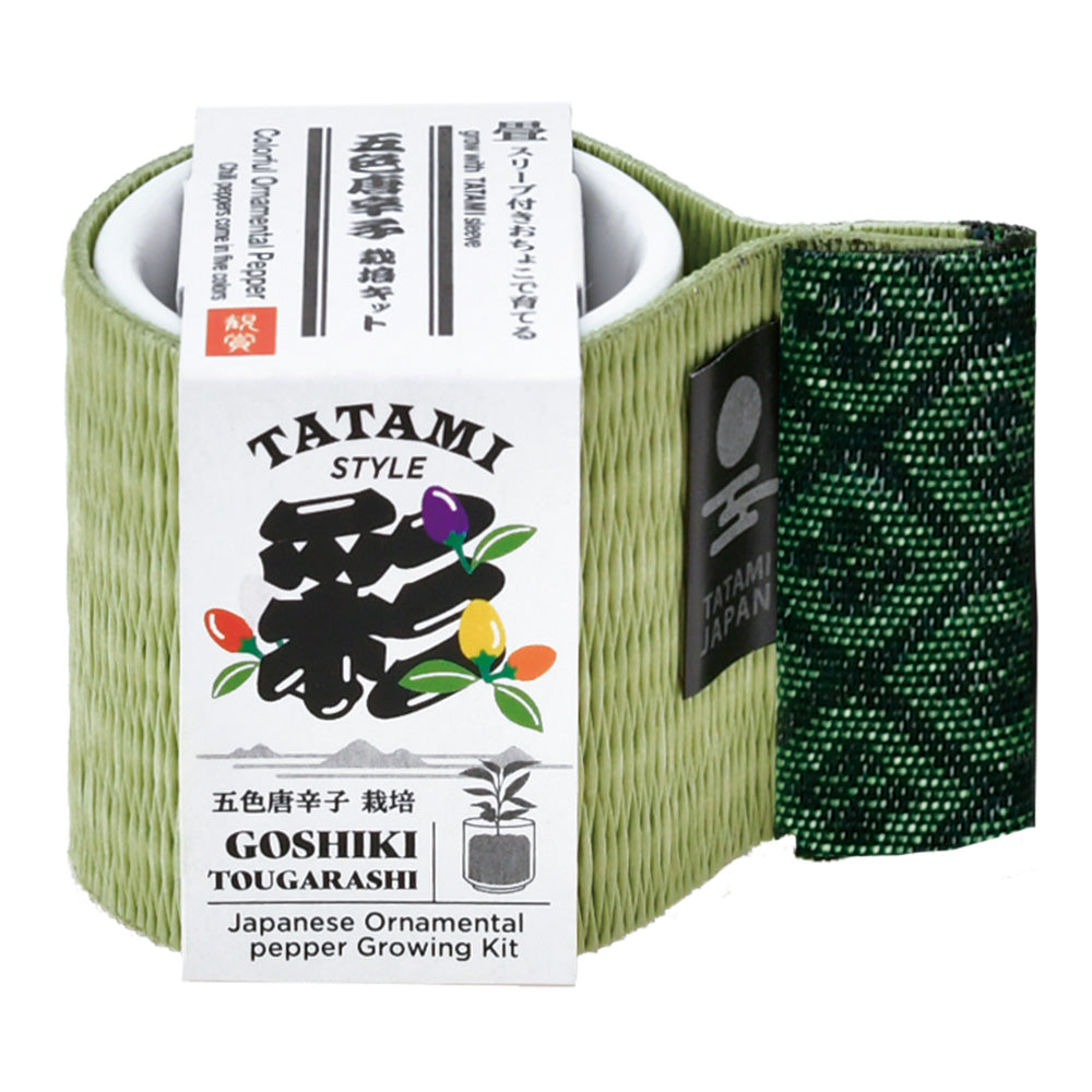 吉祥榻榻米小盅盆栽
