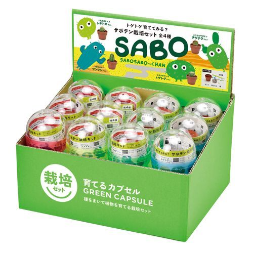 日本進口‧隨機扭蛋小盆栽系列 - 仙人掌