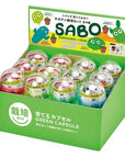 日本進口‧隨機扭蛋小盆栽系列 - 仙人掌