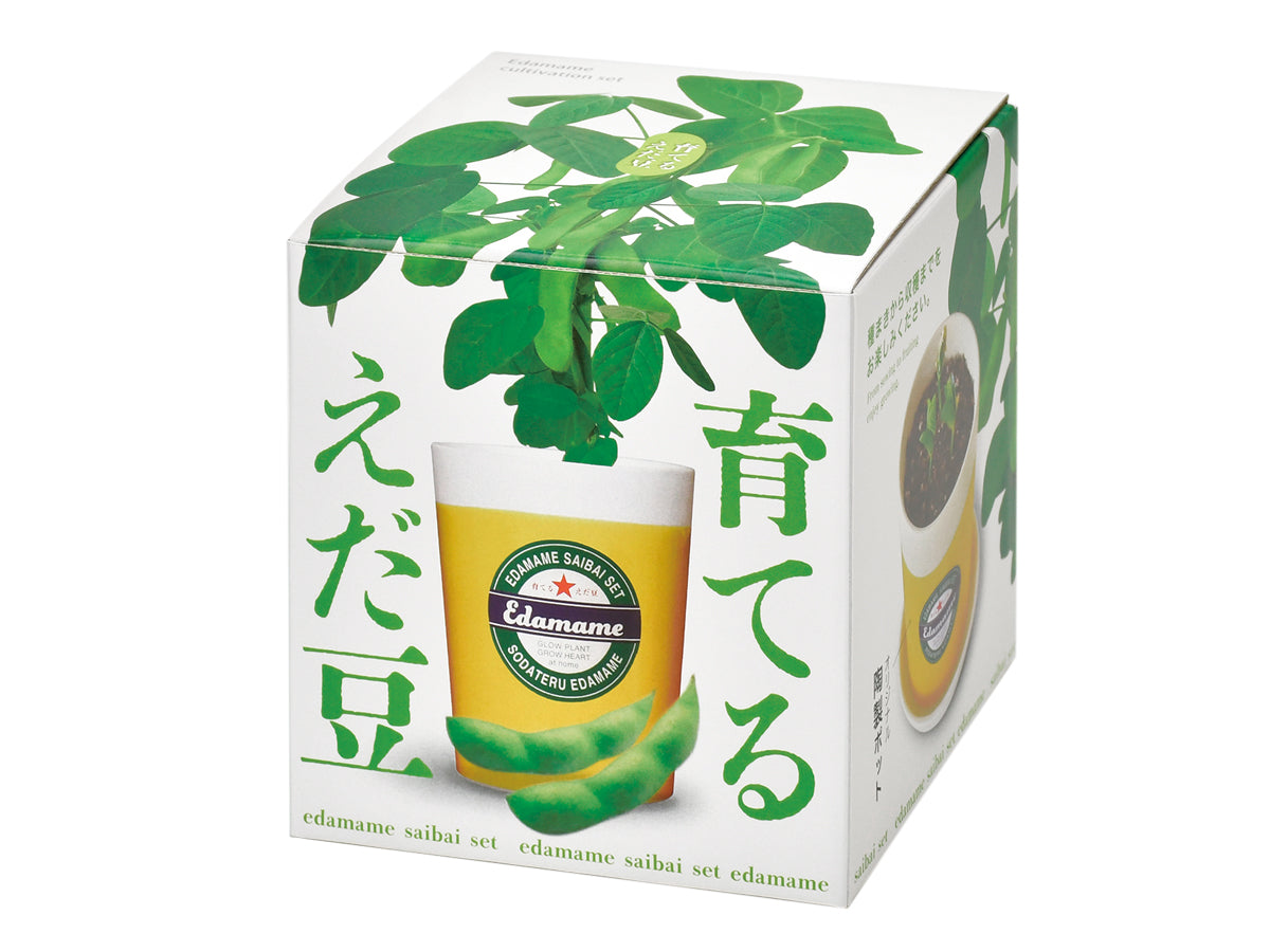 枝豆/黑枝豆栽培套裝 Edamame GD-979