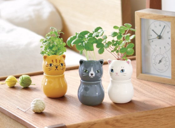 seishin COROCORO CAT 貓咪盆栽