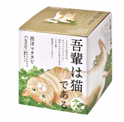 seishin 日本猴麵包樹栽培套件 GD-1027