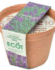 再生紙小花盆 ECOT small - 薰衣草/草莓/洋甘菊 GD-410