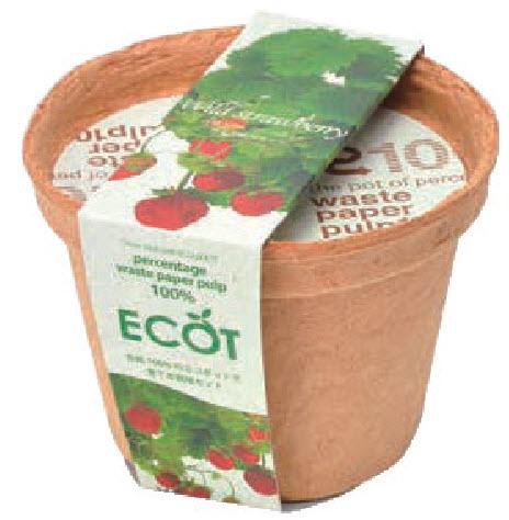 再生紙小花盆 ECOT small - 薰衣草/草莓/洋甘菊 GD-410