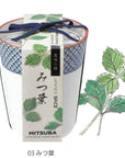 和式茶杯草藥配料盆栽 - 三葉草/唐辛子/紫蘇葉 GD-758