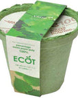 再生紙小花盆 ECOT - 胡蘿蔔/紫蘇葉 GD-411