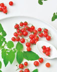 迷你番茄栽培套裝 MICRO TOMATO GD-903