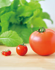 迷你番茄栽培套裝 MICRO TOMATO GD-903