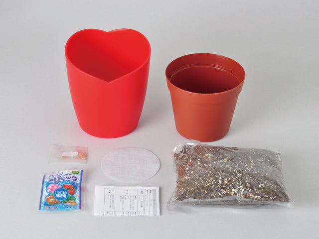 迷你番茄栽培套裝 MICRO TOMATO GD-903