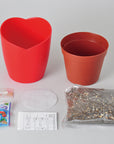 迷你番茄栽培套裝 MICRO TOMATO GD-903