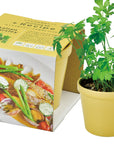 日本進口‧自家種植‧園藝‧家‧裝飾‧+ Recipe 盆栽